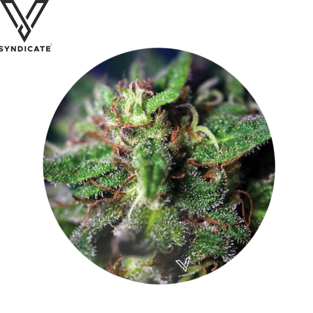 Silikonmatte, V Syndicate®, Blue Dream